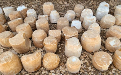 Des archéologues découvrent un ancien atelier de fabrication d’ustensiles en pierre à l’extérieur de Jérusalem